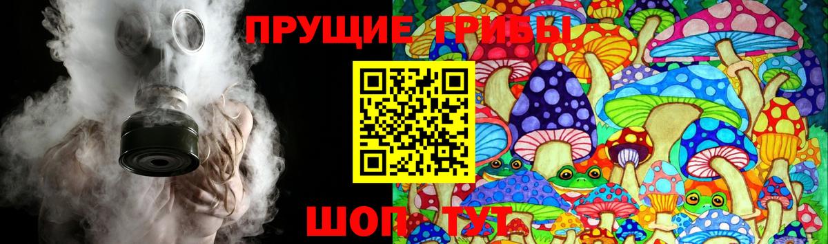 Псилоцибиновые грибы мицелий  Вход с VPN  Обь 