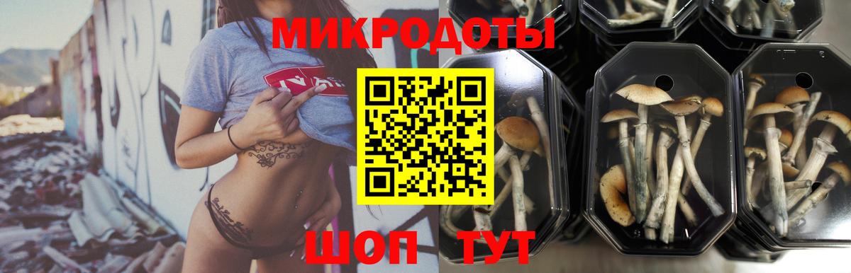 Галлюциногенные грибы мицелий Обь