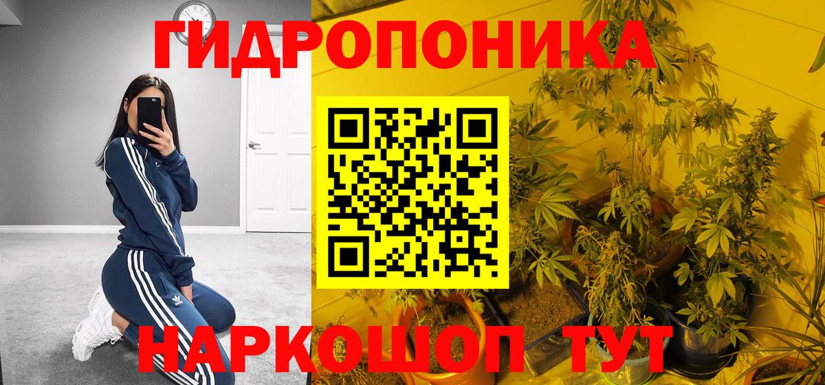 Конопля конопля  Вход с VPN  Конопля OG Kush  Обь  Марихуана планчик 